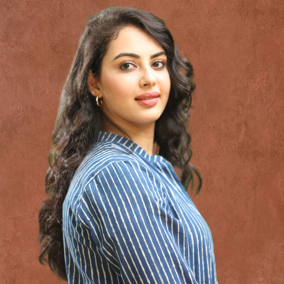 Indigo strip Shirt top